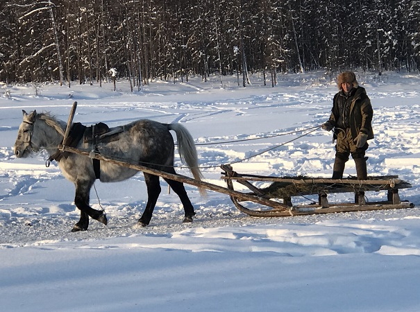 Indigenous Yakut horse herder riding a sledge in Khangalas Dsitrict, Yakutia
