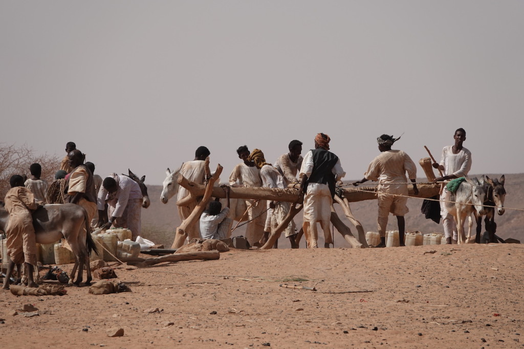 Nomads at a well near Naqa