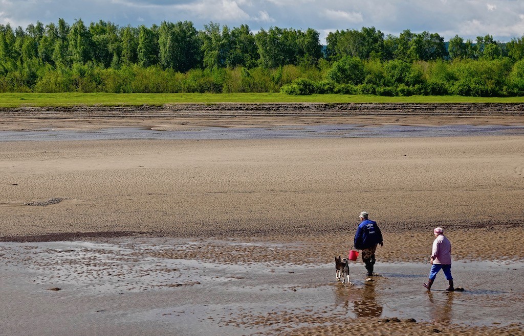 Going to collect berries on the island , Sinsk village, Khangalas District, Yakutia