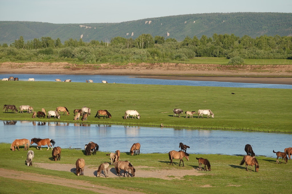 View from Katya's parents' house in Sinsk village, Khangalas District, Yakutia