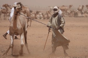Trader at a camel market in the desert near Omdurman, Sudan
