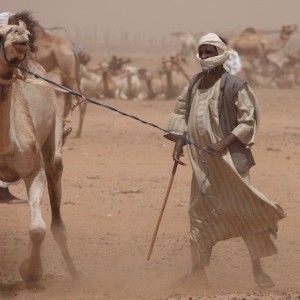 Trader at a camel market in the desert near Omdurman, Sudan